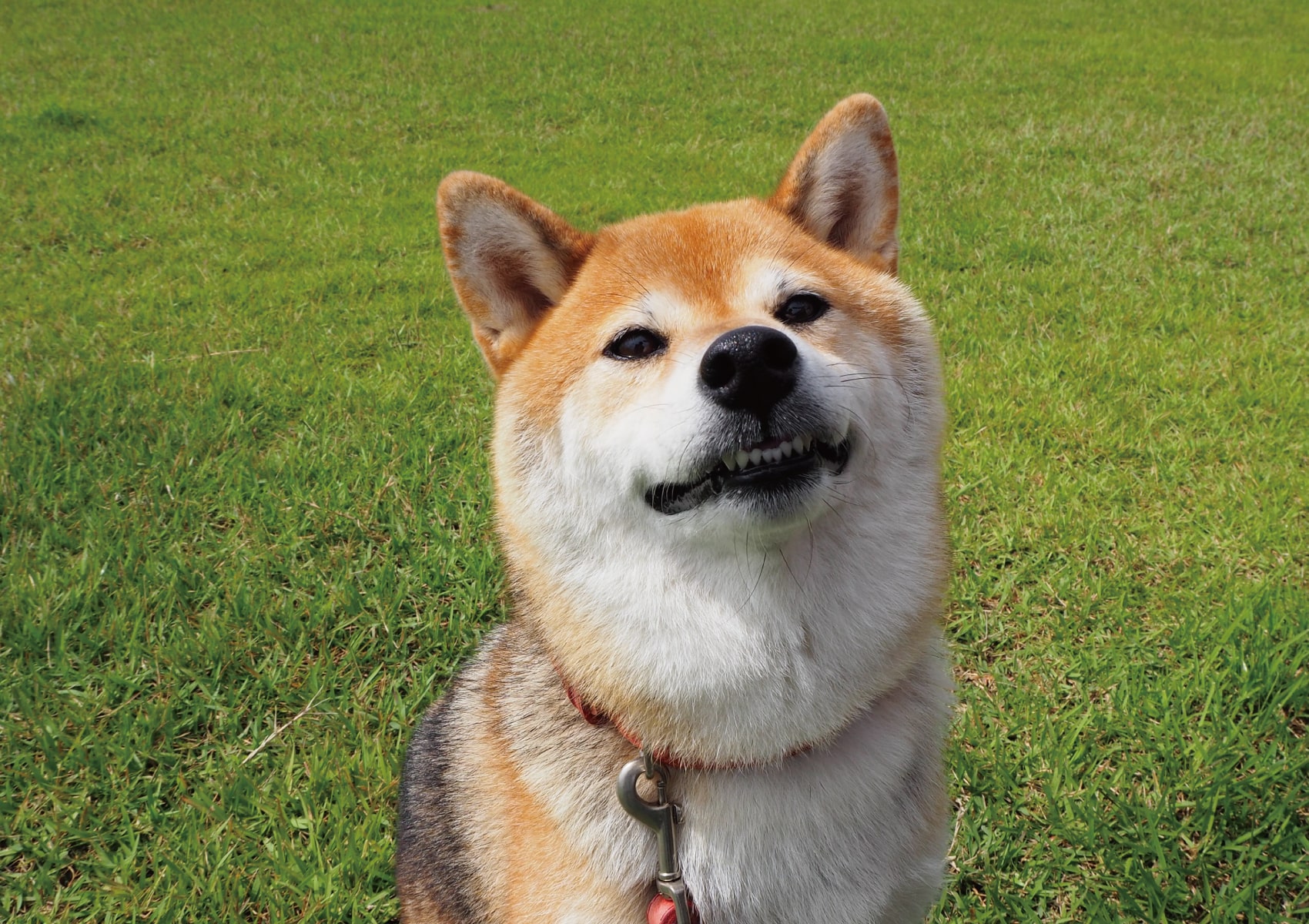 オンラインサービス